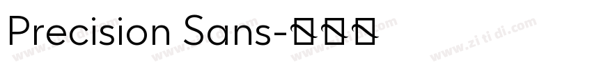 Precision Sans字体转换